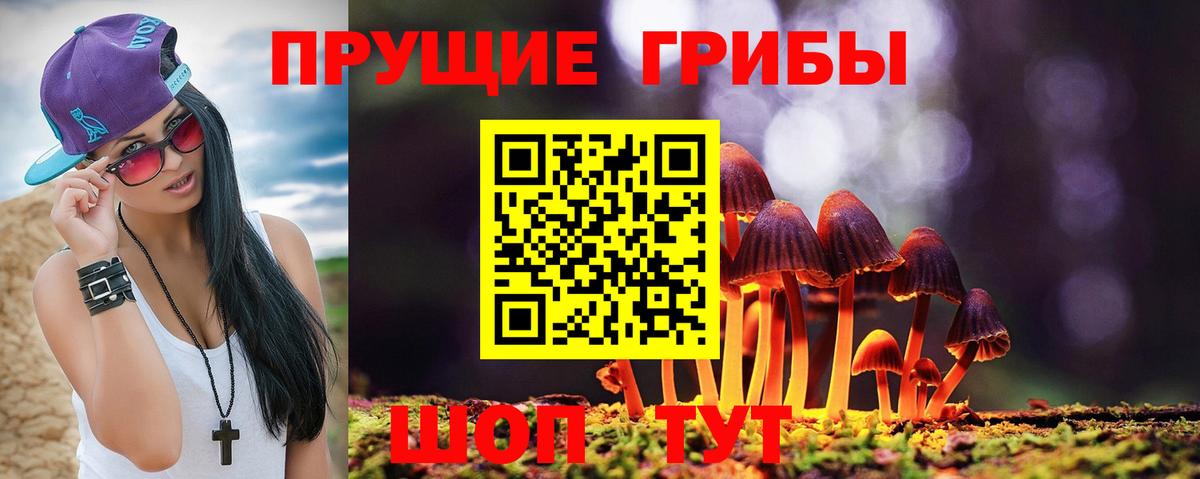 Галлюциногенные грибы Magic Shrooms  дарнет шоп  Черногорск  Псилоцибиновые грибы MAGIC MUSHROOMS  Вход с VPN 